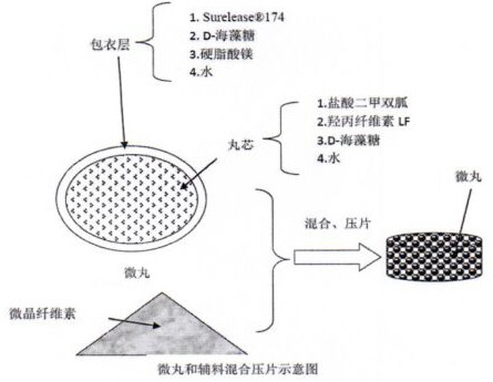 Metformin hydrochloride sustained release tablet composition