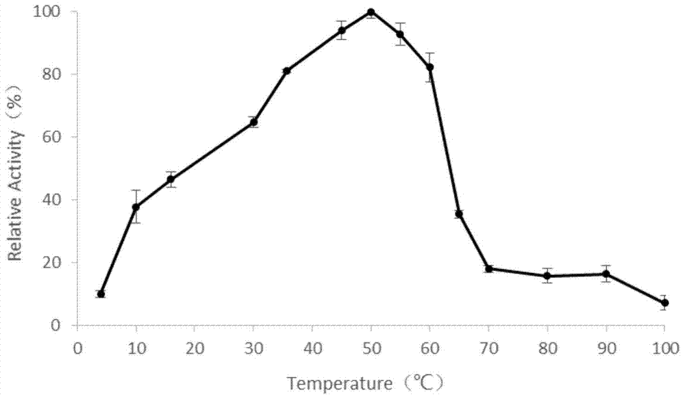 A novel α-amylase and its application