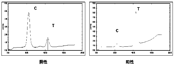 Rapid quantitative test paper for type-O foot-and-mouth disease virus