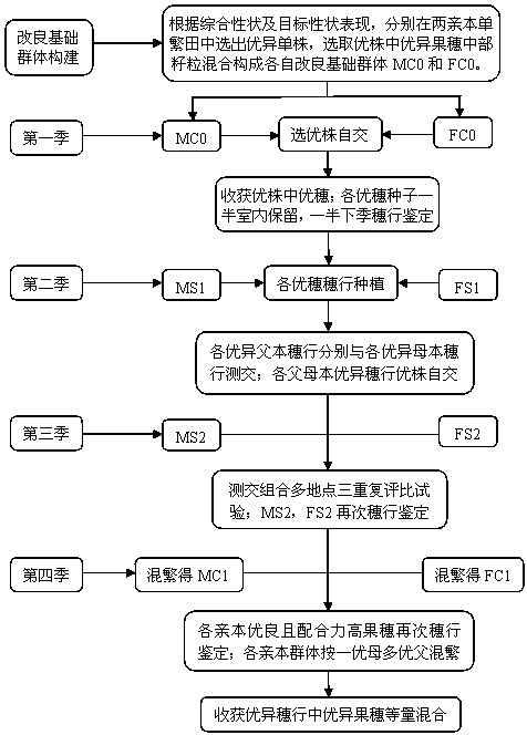 Technical method for continuous improvement of corn single cross hybrid