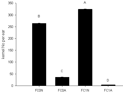 Technical method for continuous improvement of corn single cross hybrid