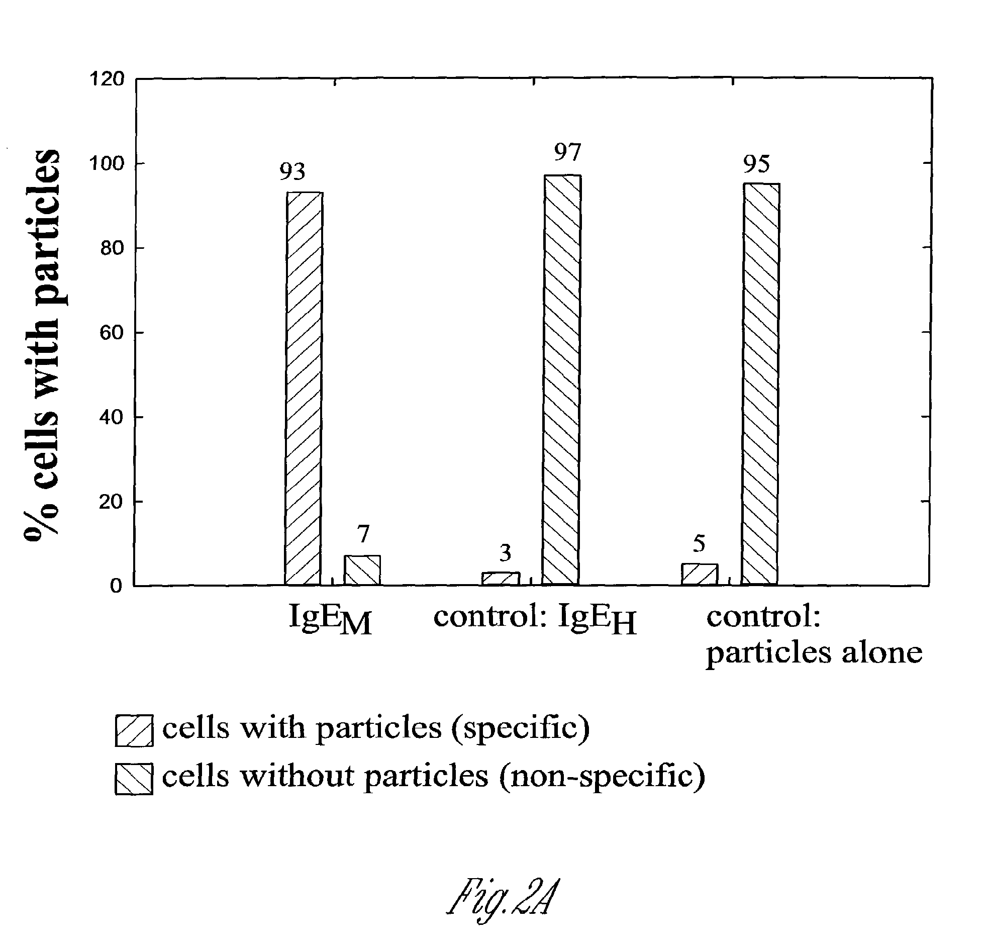 Fluorescent Silica-Based Nanoparticles