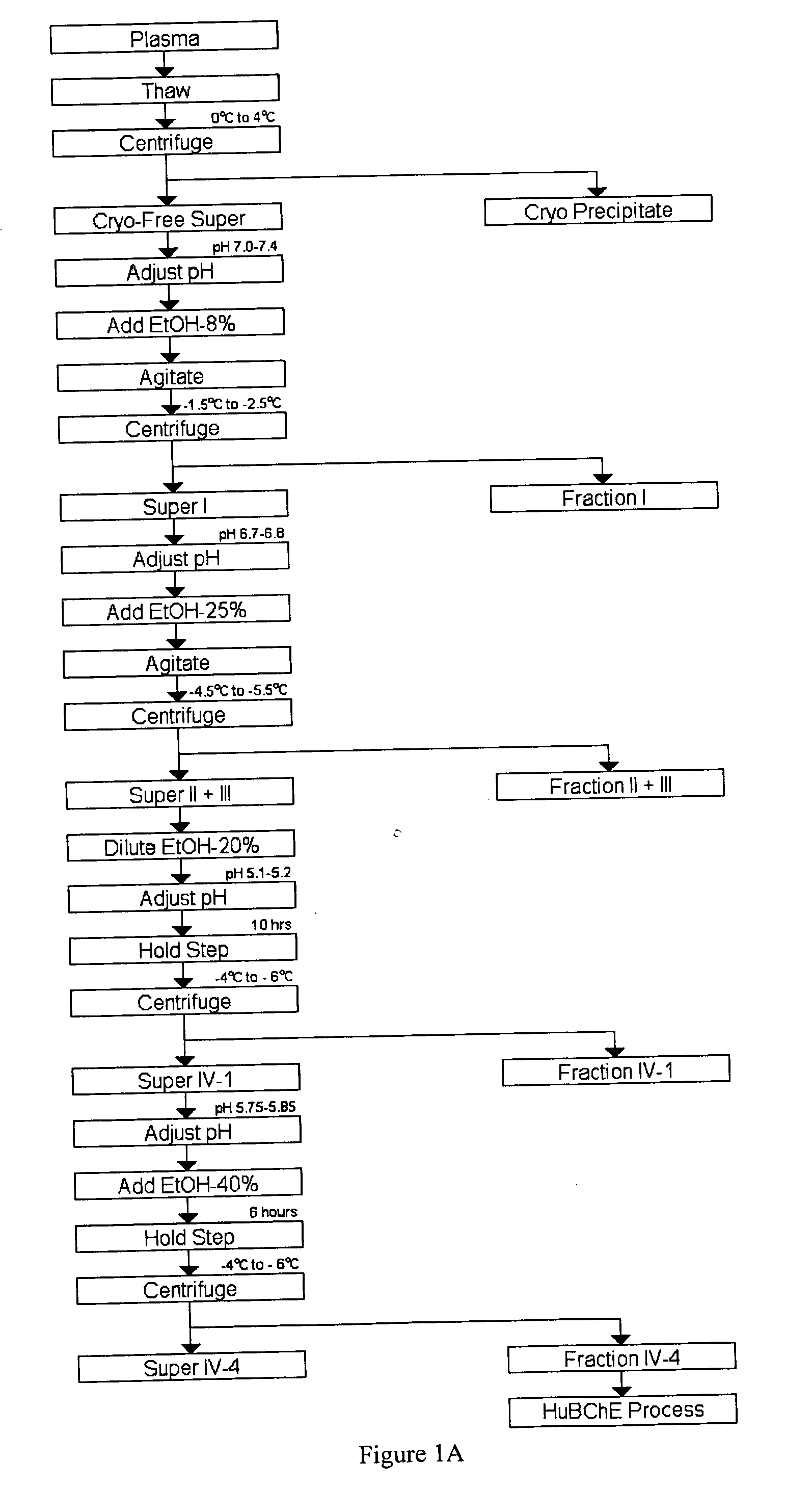 Large-scale production of human serum butyrylcholinesterase as a bioscavenger