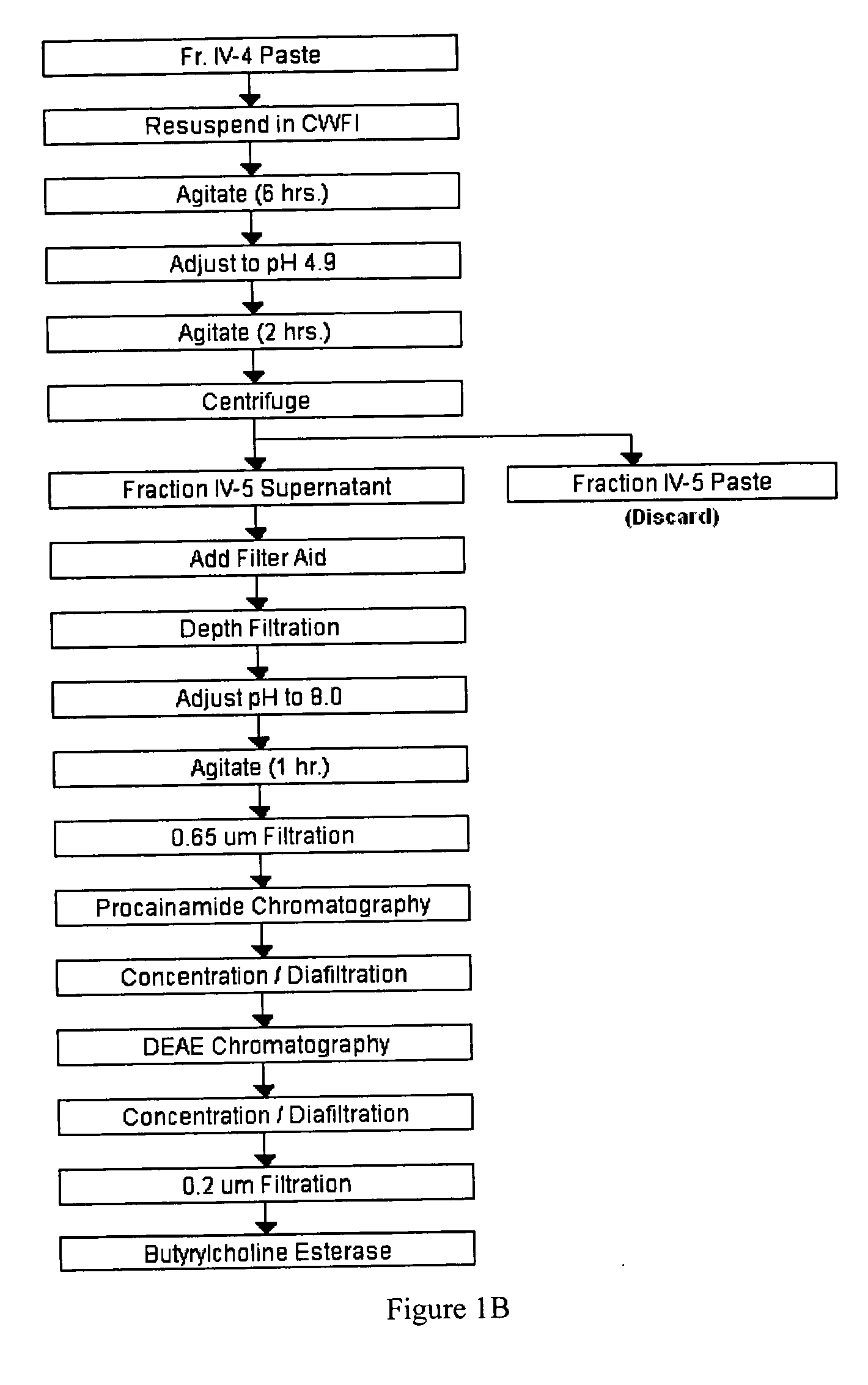 Large-scale production of human serum butyrylcholinesterase as a bioscavenger