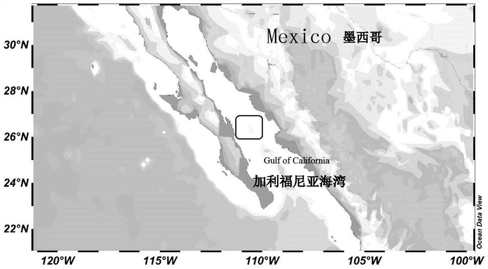 Acoustic image data evaluation-based species discrimination method