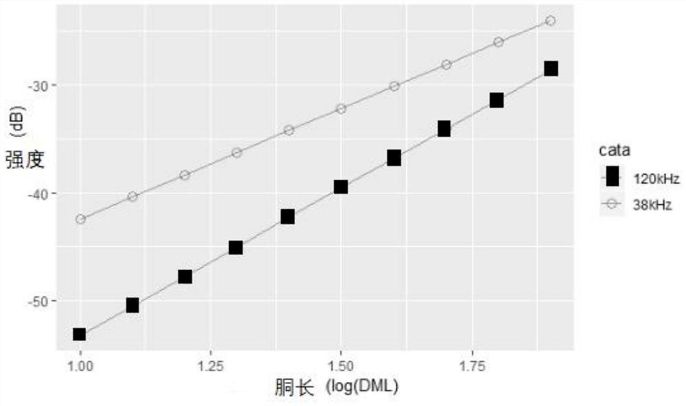 Acoustic image data evaluation-based species discrimination method