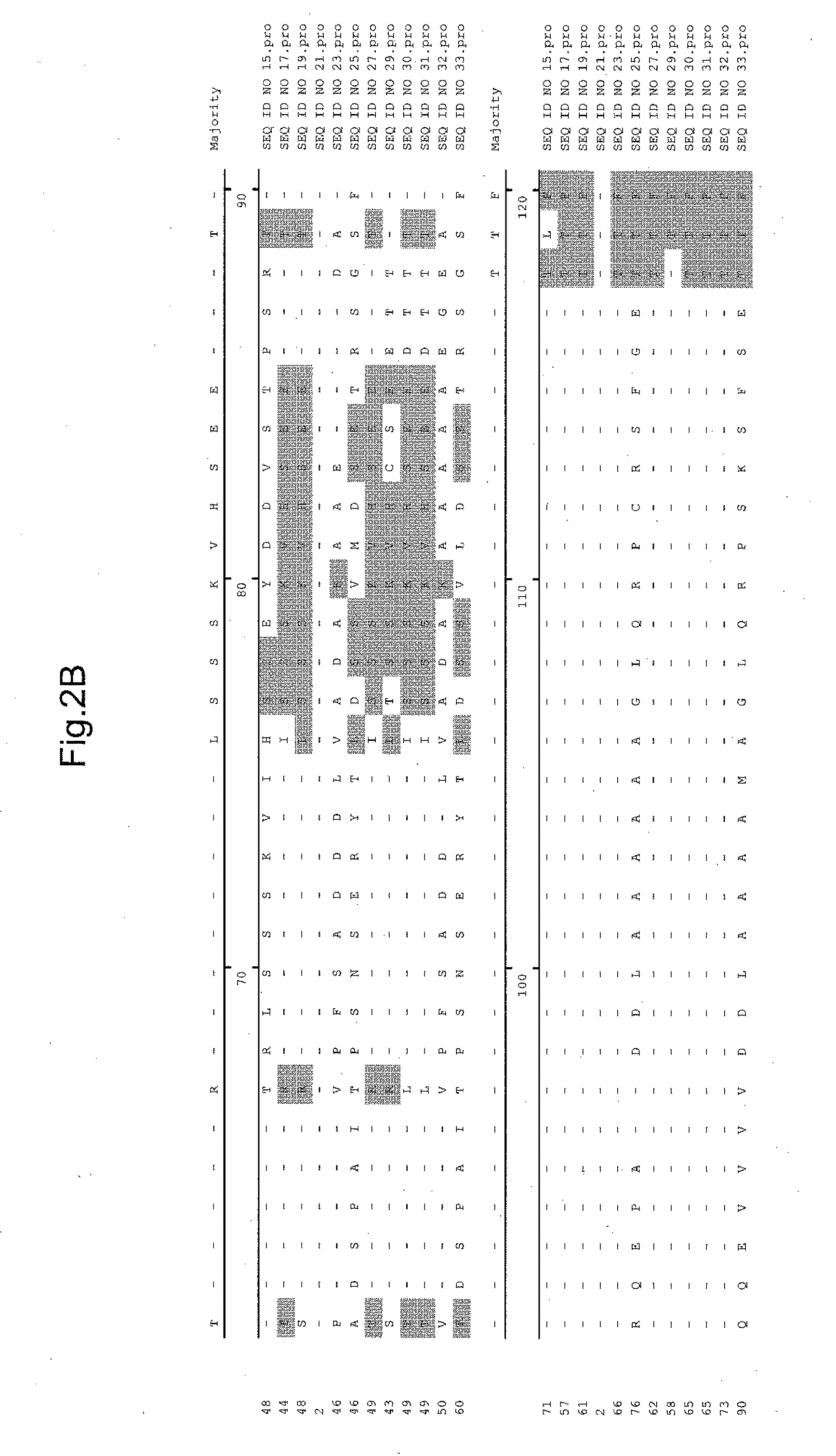 Plants with altered root architecture, related constructs and methods involving genes encoding protein phophatase 2c (PP2C) polypeptides and homologs thereof