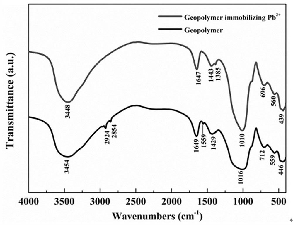 Method for preparing geopolymer finished product by using typical rare earth tailings in western Sichuan