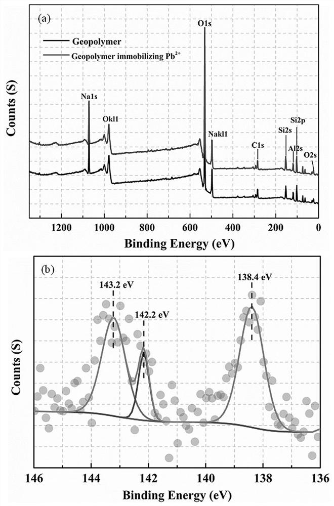 Method for preparing geopolymer finished product by using typical rare earth tailings in western Sichuan