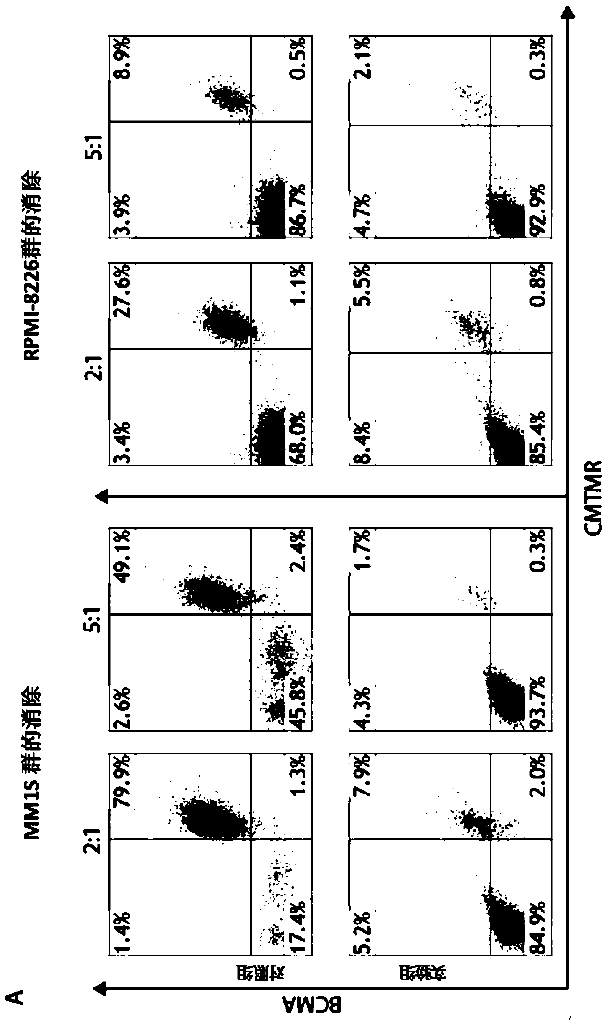 Compound chimeric antigen receptor (cCAR) targeting multiple antigens, compositions and usage method thereof