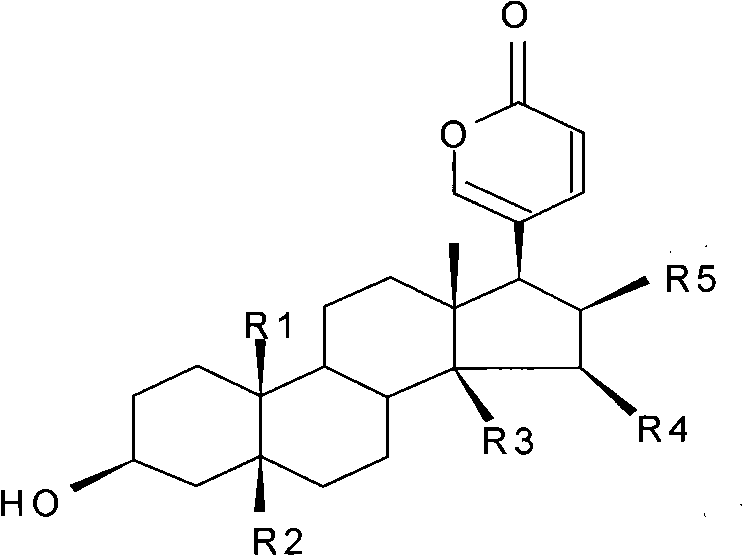 Composition with anti-tumor effect and application thereof in preparing medicament for treating tumor