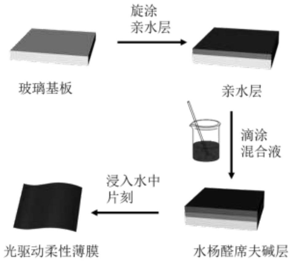 A light-driven flexible film based on salicylaldehyde Schiff base, its preparation method and application