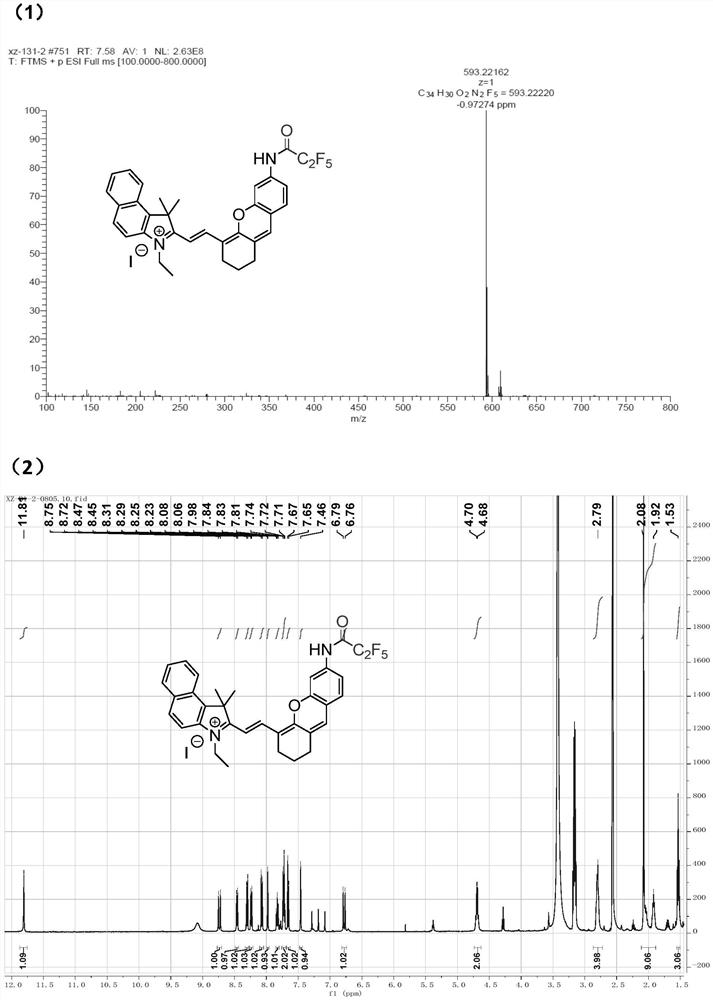 Molecular probe for dual-mode imaging detection of neutrophil elastase as well as preparation method and application of molecular probe