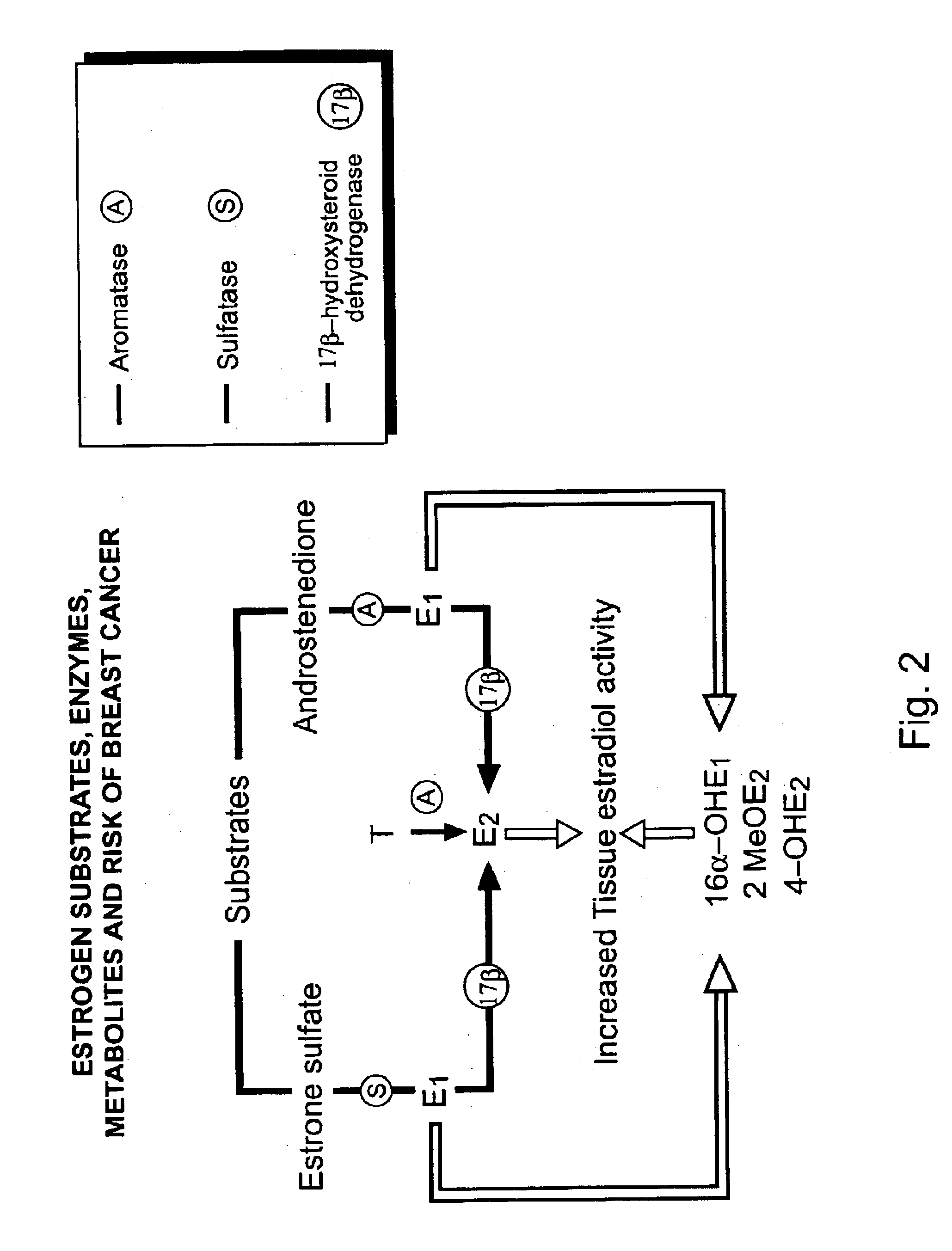 Methods for reducing the risk of breast cancer in and improving the health of women