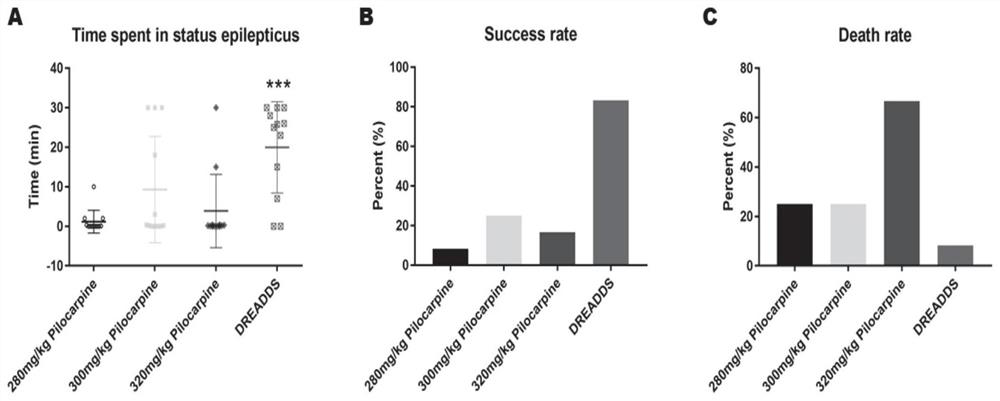 Chemical heredity epilepsy persistent state disease animal model and construction method and application thereof