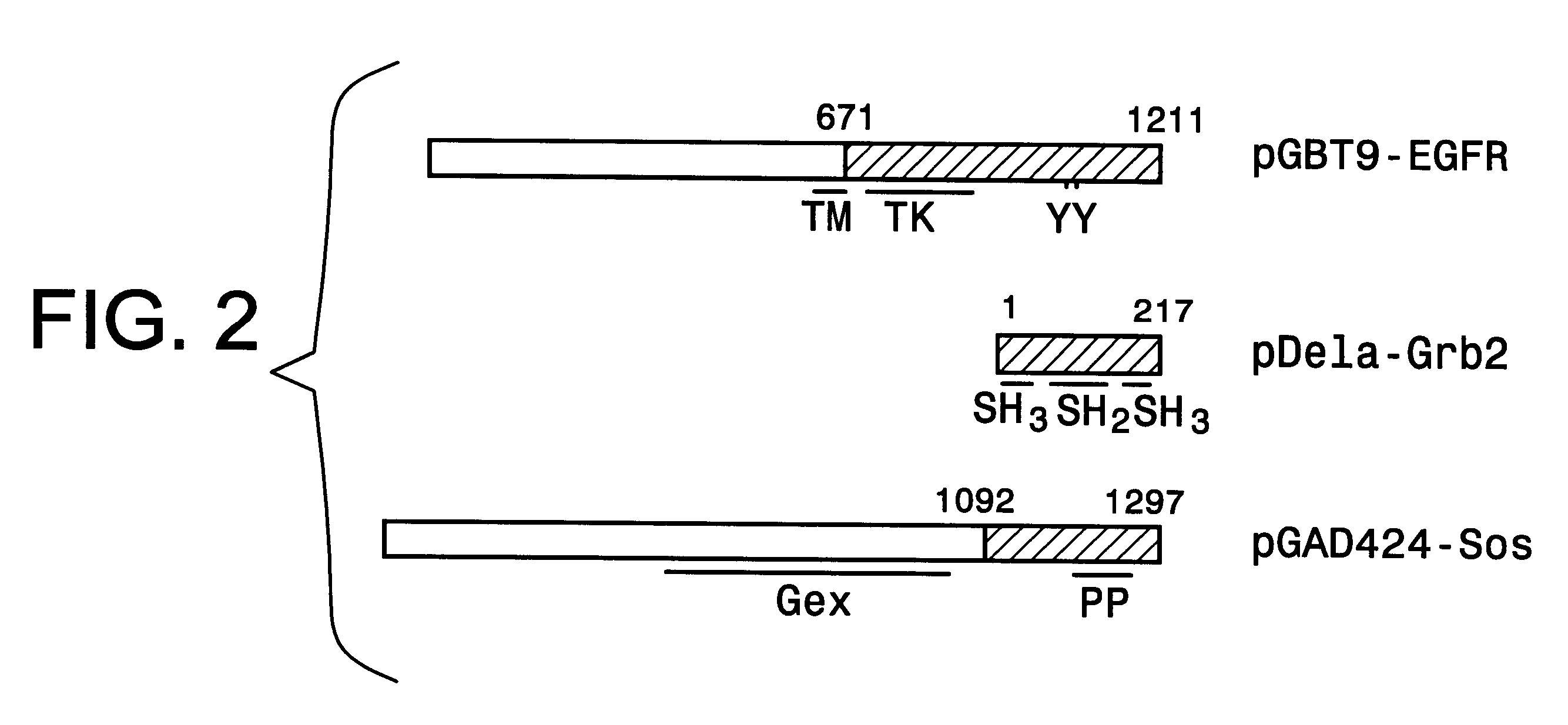 Method and kit for detection of multiple protein interactions