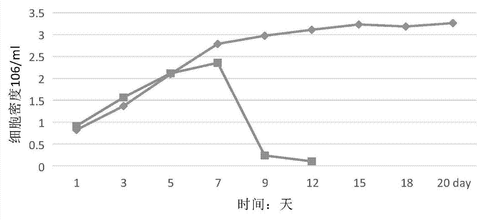 Serum replacement for cell culture