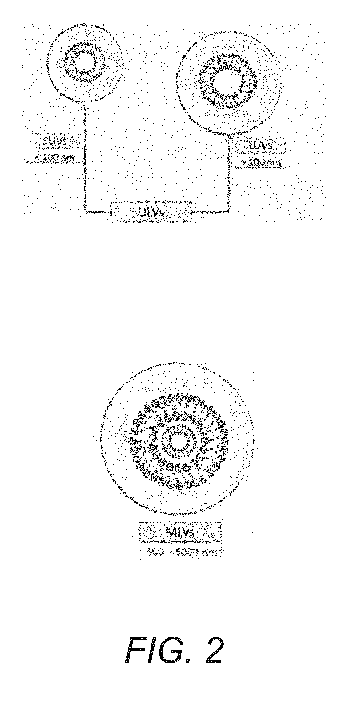 Systems and methods for targeted breast cancer therapies