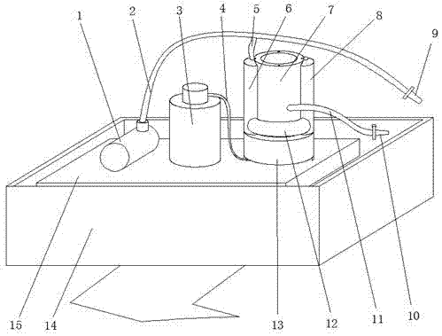 Bridge maintaining and reinforcing device