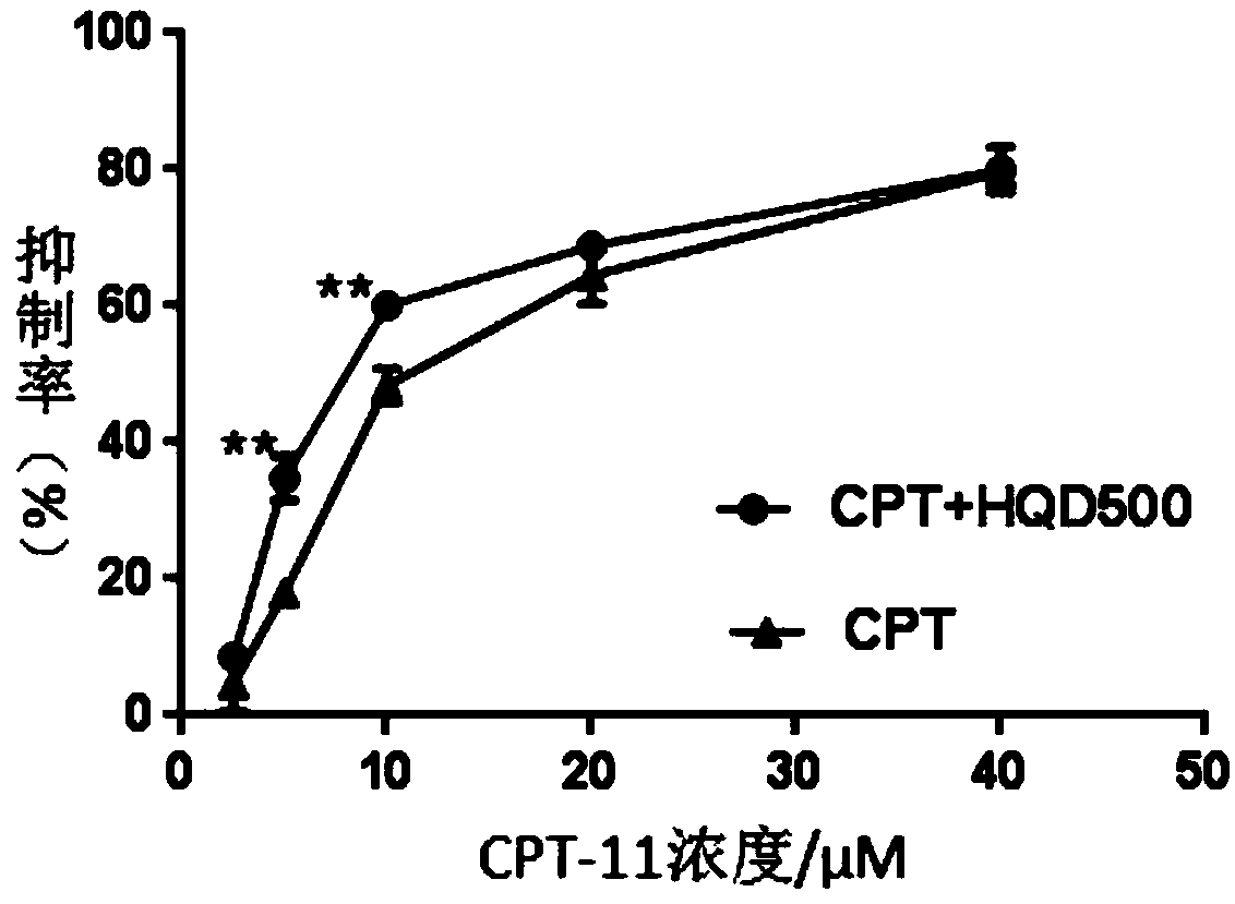 Radix scutellariae soup, and application of equivalent component group of radix scutellariae soup to improvement of chemosensitivity of colon cancer on irinotecan