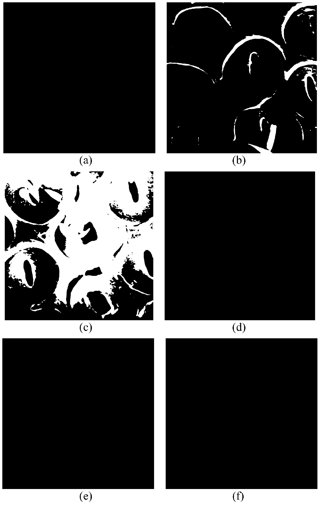 Deep eutectic solvent and method for extracting flavone di-C-glycoside from premna fulva