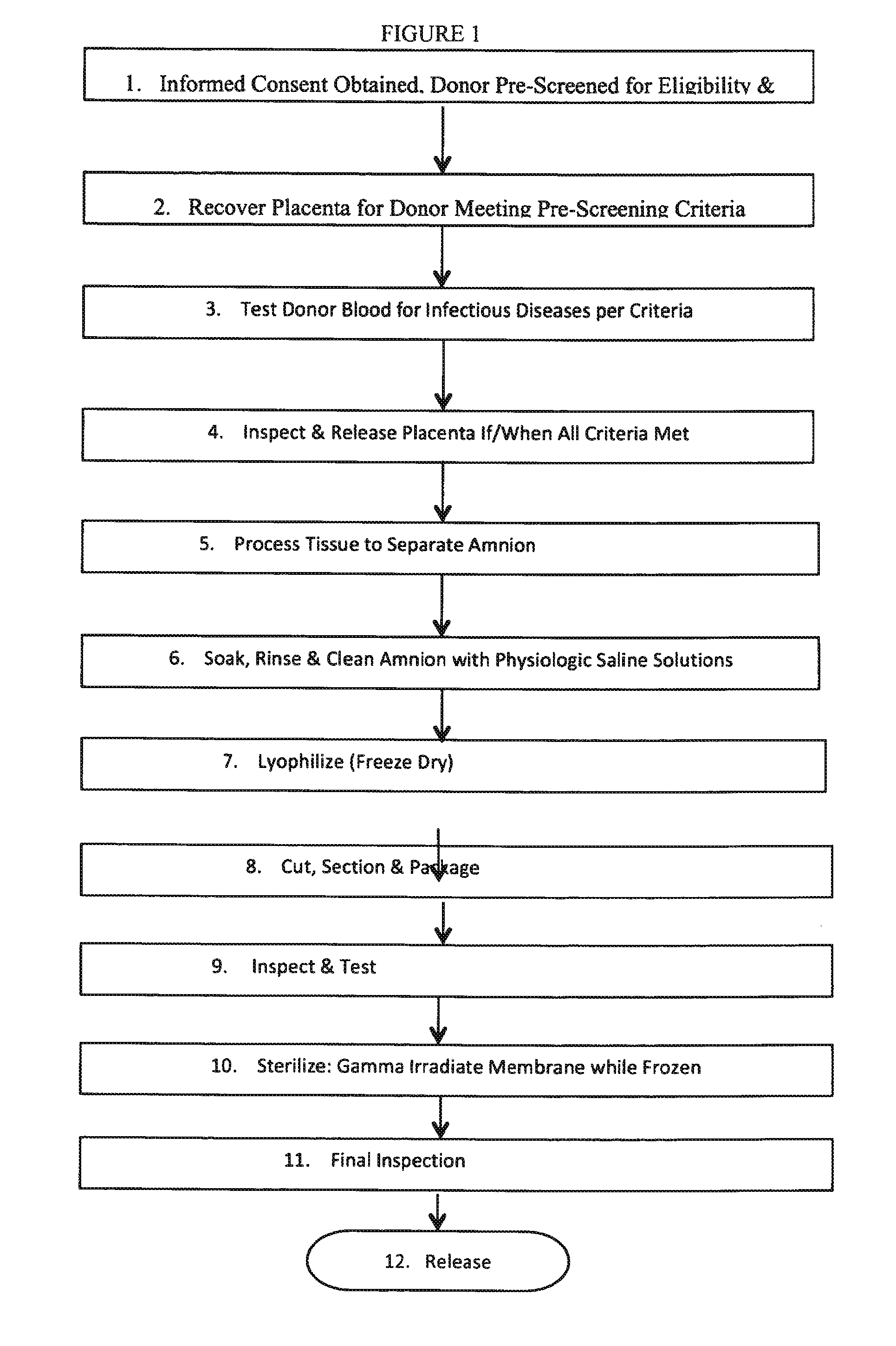 Methods of preparing lyophilized human tissues