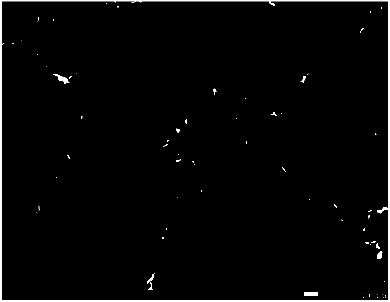 A kind of iron-based nano-array electrocatalytic electrode, its preparation method and alkaline fuel cell