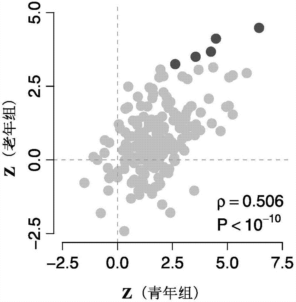 Peripheral blood circular RNA marker for noninvasive diagnosis of active pulmonary tuberculosis, and application