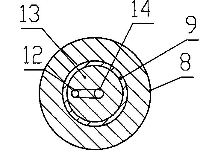 Grain condition detecting rod