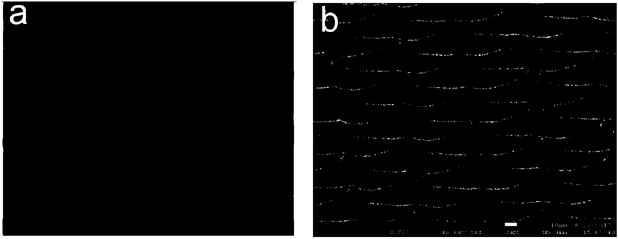 Preparation method of super-hydrophilic organic membrane based on surface covered with micro-nano structure