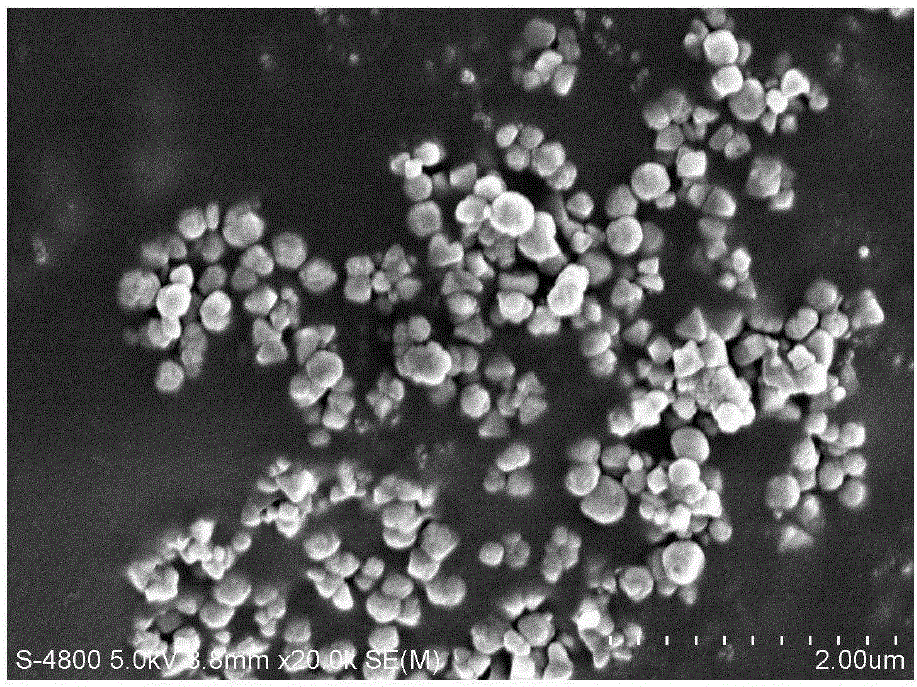 Preparation method of amino modified chitosan composite adsorbing material