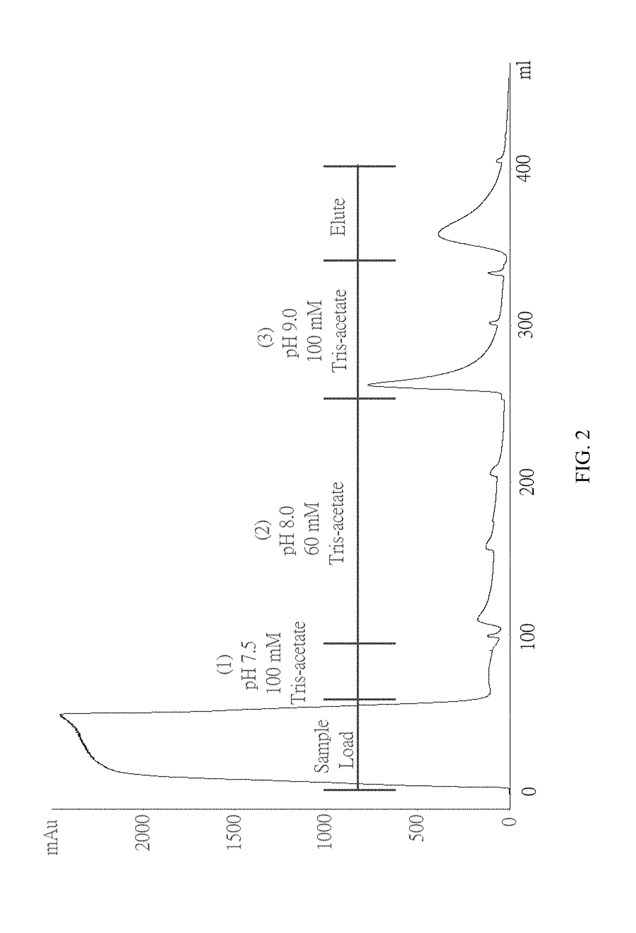 Production of high purity chondroitinase ABC