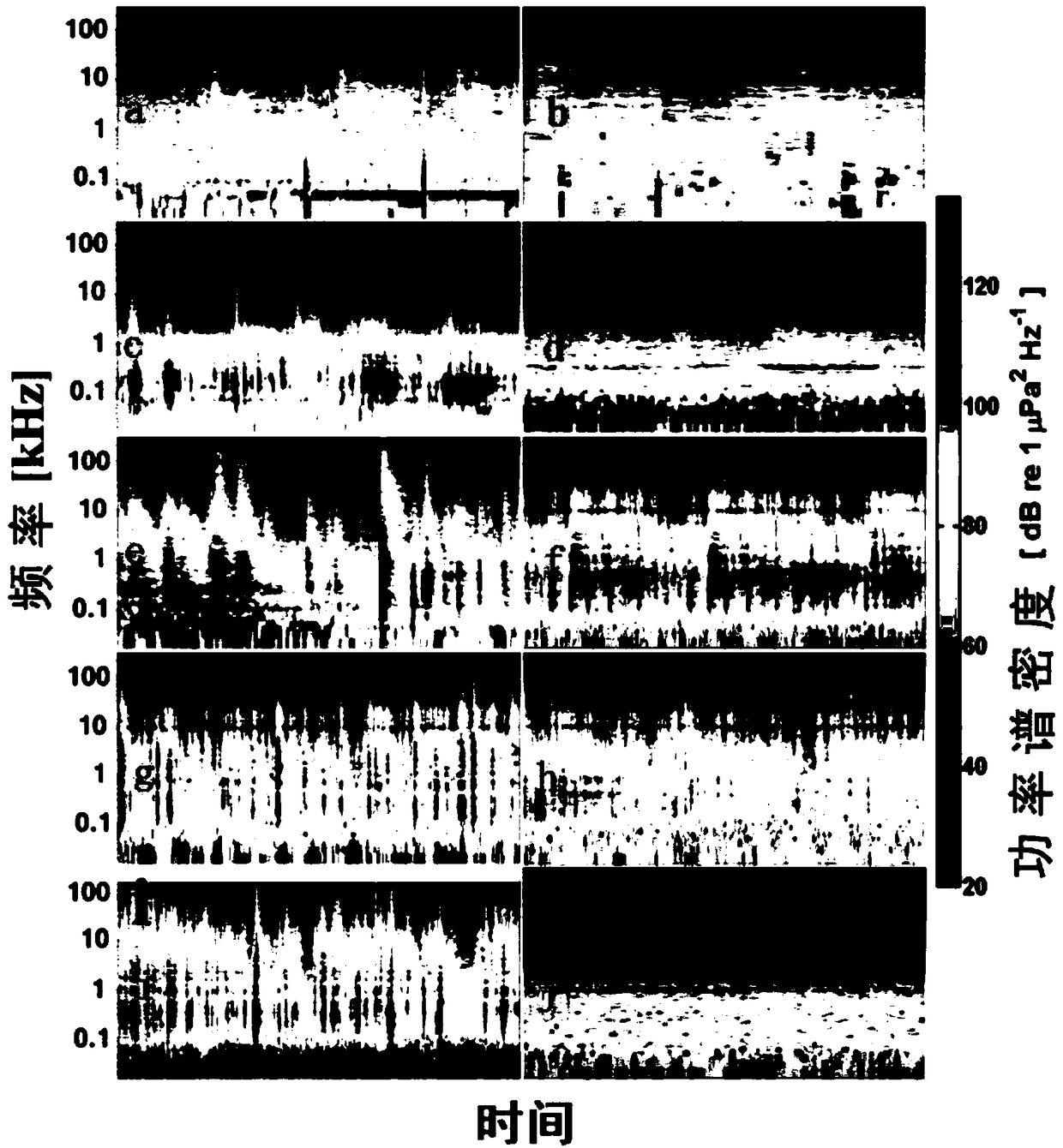 Acoustic induction protection device and method for Neophocaena asiaeorientalis asiaeorientalis in construction water area