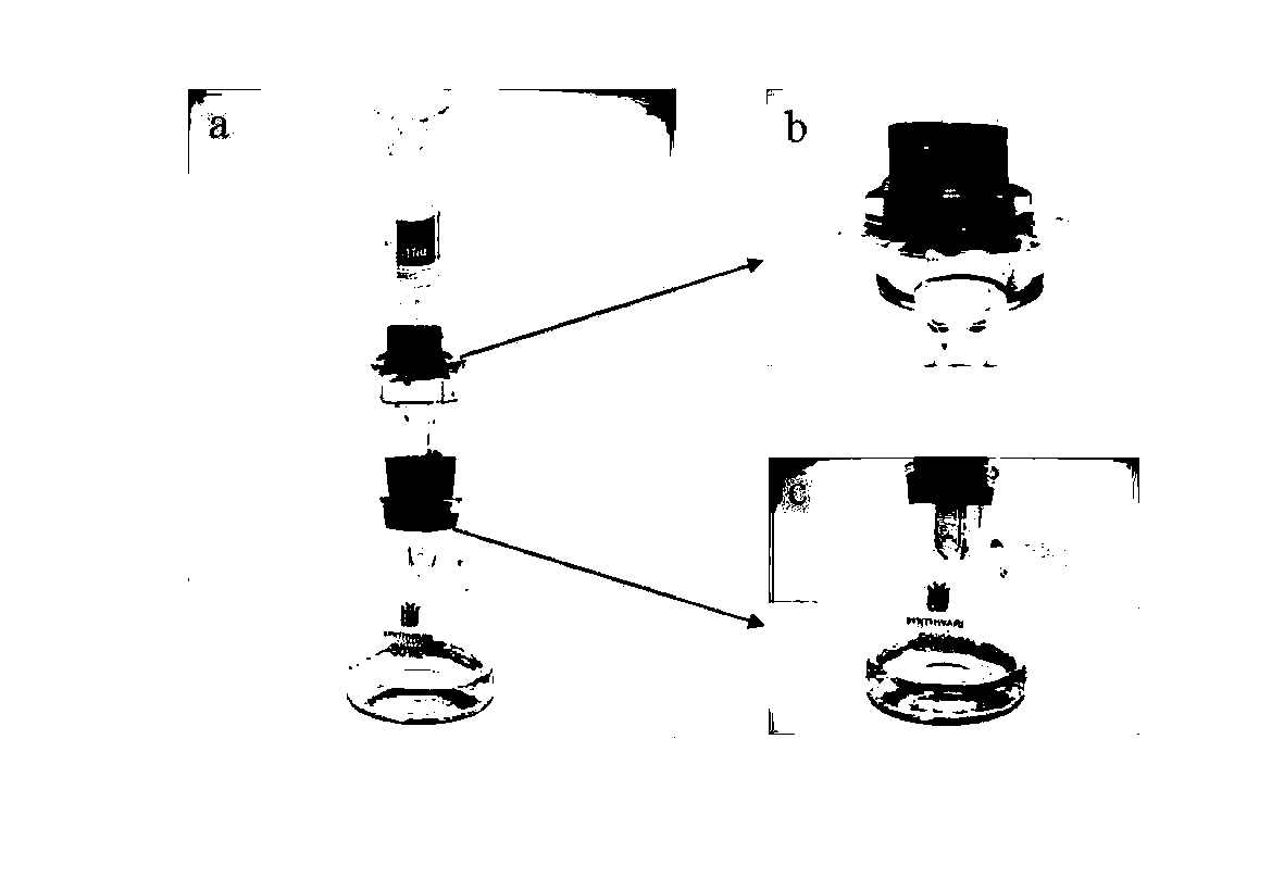 Separation net membrane with super-hydrophilicity/underwater super-lipophobicity as well as preparation method and application thereof