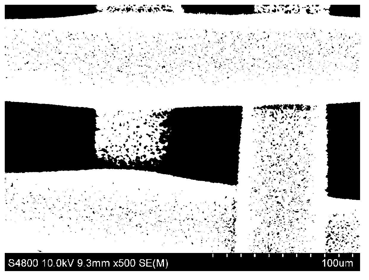 Separation net membrane with super-hydrophilicity/underwater super-lipophobicity as well as preparation method and application thereof