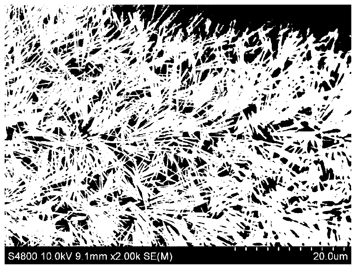 Separation net membrane with super-hydrophilicity/underwater super-lipophobicity as well as preparation method and application thereof