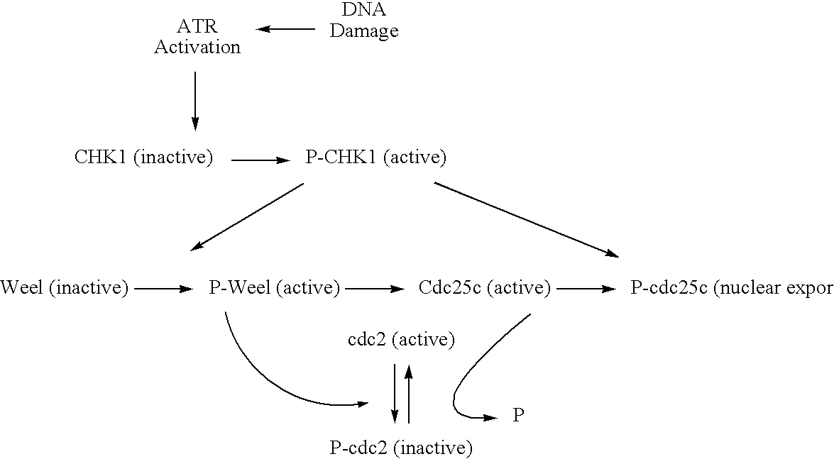 Indazole benzimidazole compounds