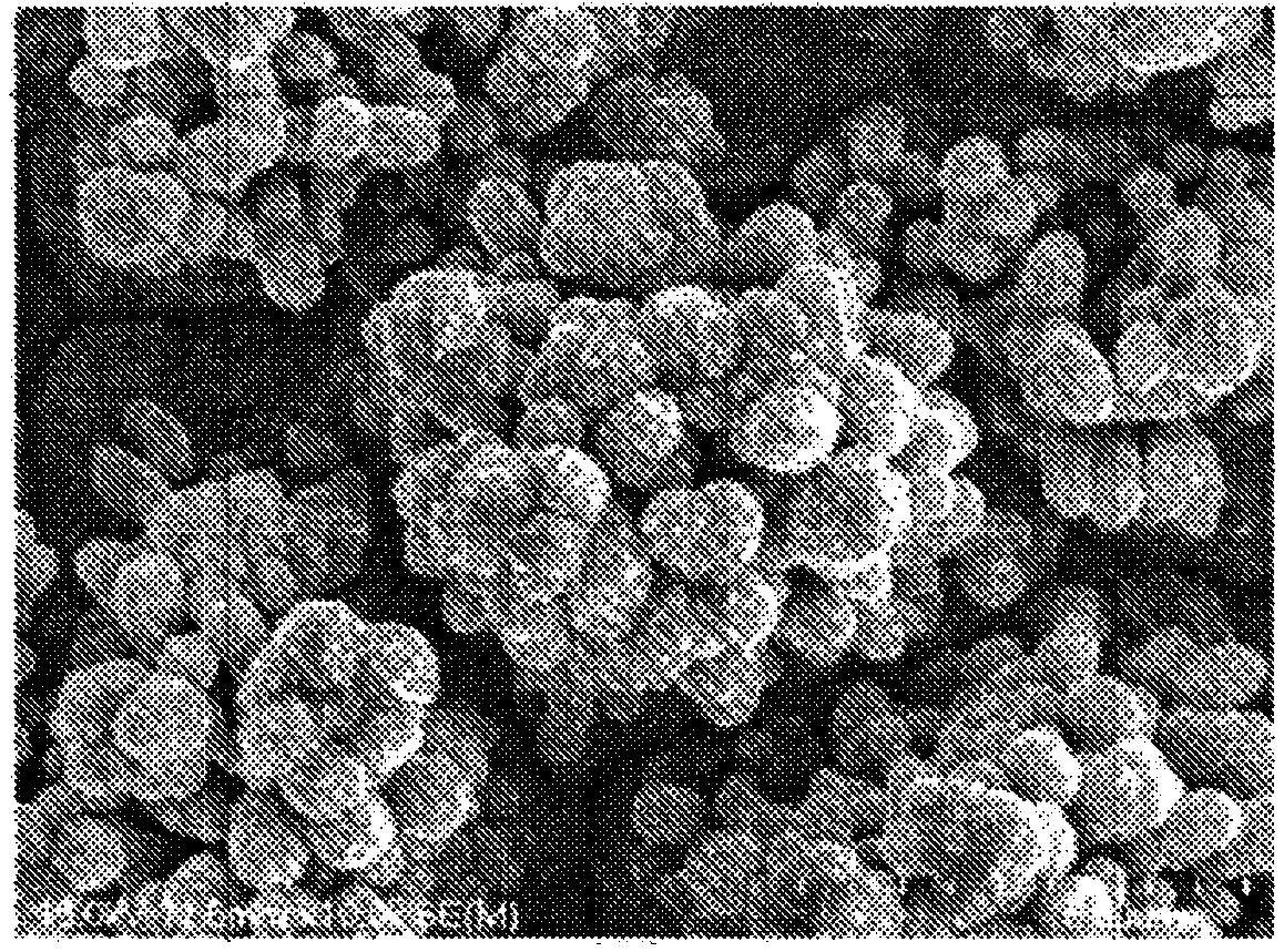 Copper foil excellent in adhesion with resin, method for manufacturing same, and printed wiring board or battery negative electrode material using electrolytic copper foil