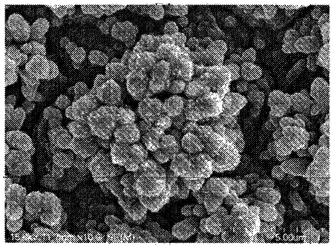 Copper foil excellent in adhesion with resin, method for manufacturing same, and printed wiring board or battery negative electrode material using electrolytic copper foil