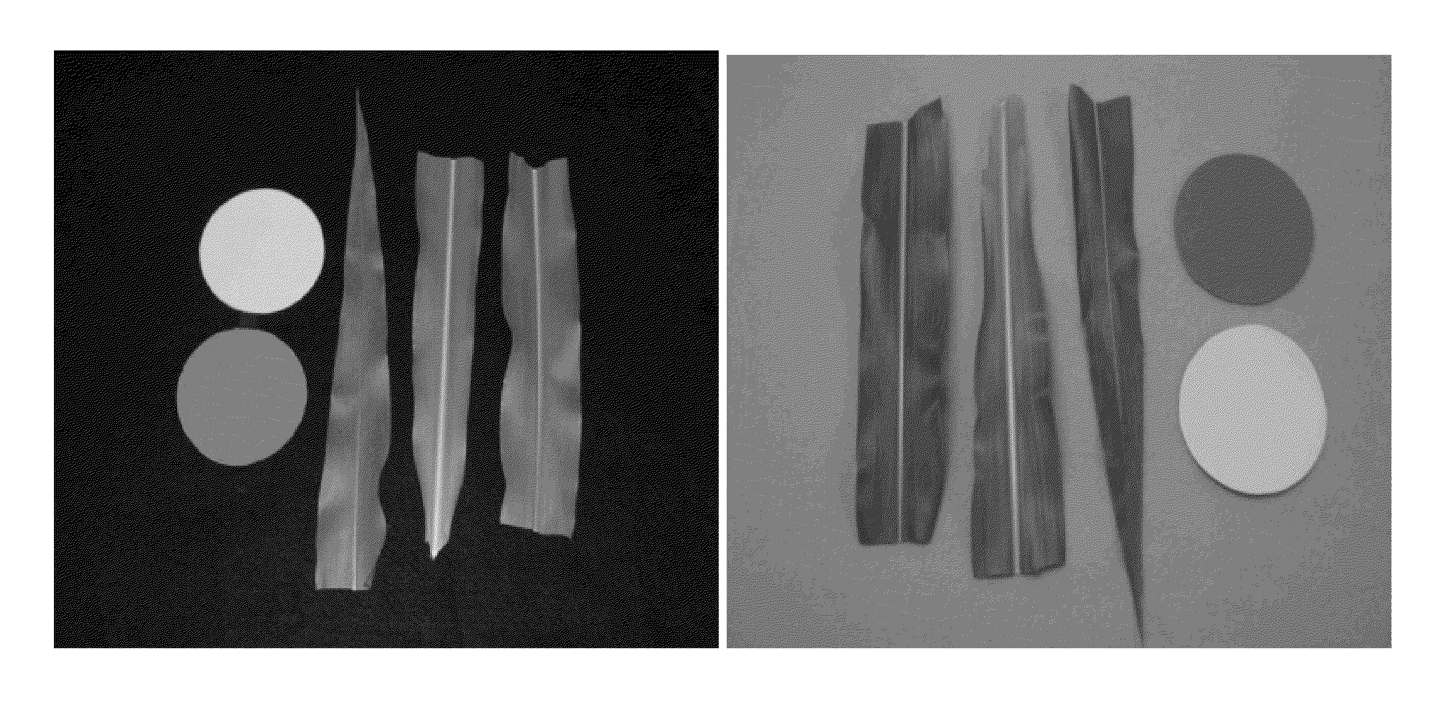 System and method of in-season nitrogen measurement and fertilization of non-leguminous crops from digital image analysis