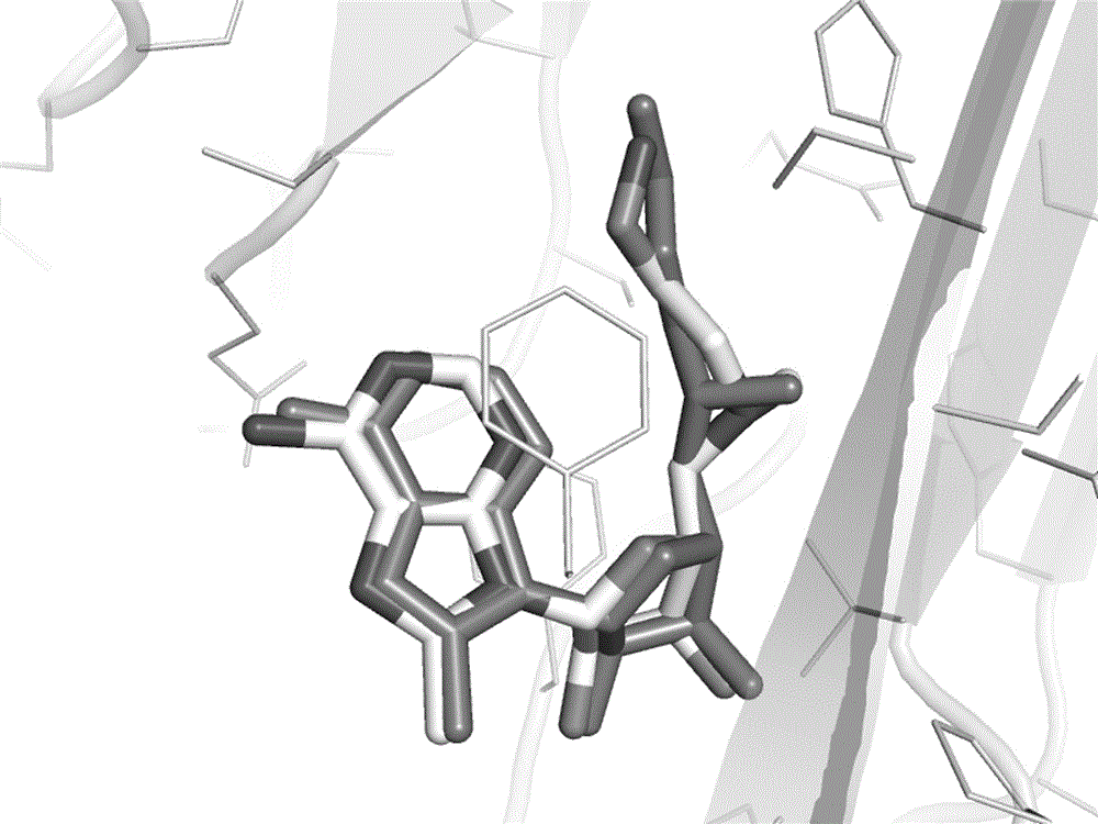 Computer screening method for small molecular covalent inhibitors and application of method to screening of S-adenosylmethionine decarboxylase covalent inhibitors