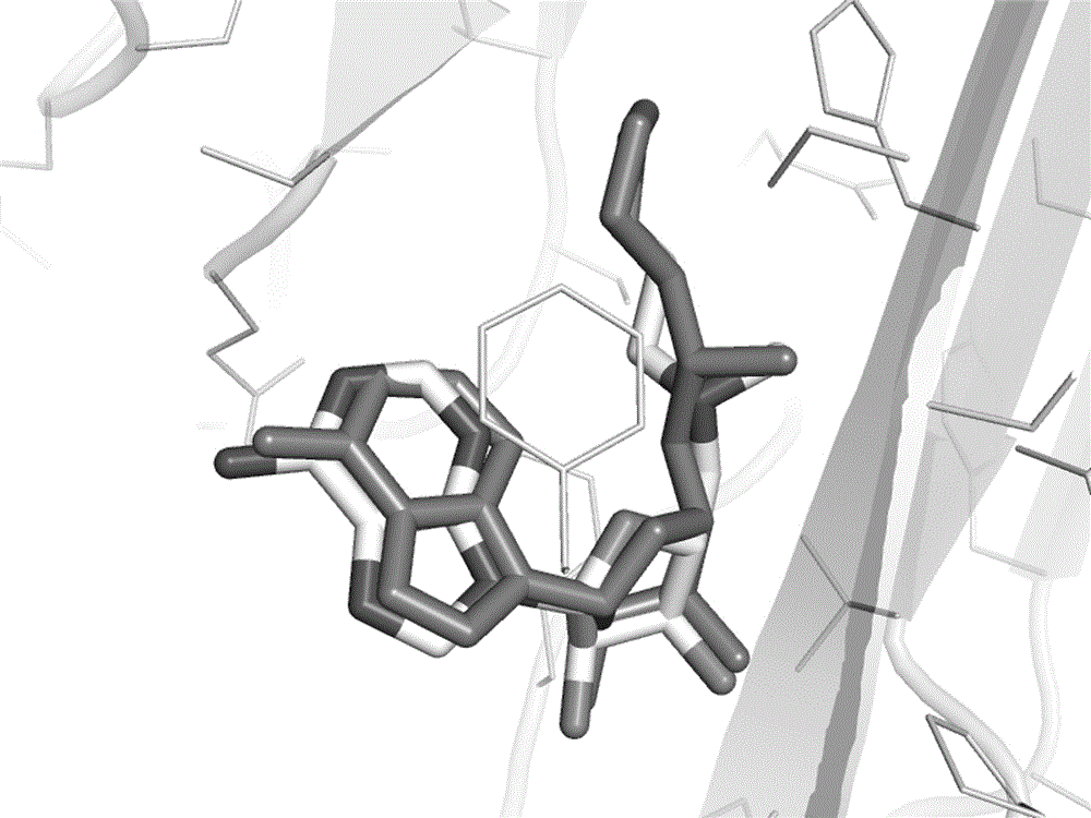 Computer screening method for small molecular covalent inhibitors and application of method to screening of S-adenosylmethionine decarboxylase covalent inhibitors