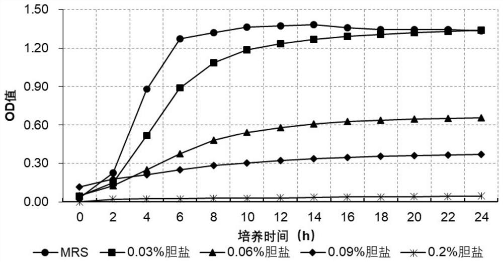 A strain of Pediococcus pentosaceus and its application in improving the flavor quality of fermented fruits and vegetables