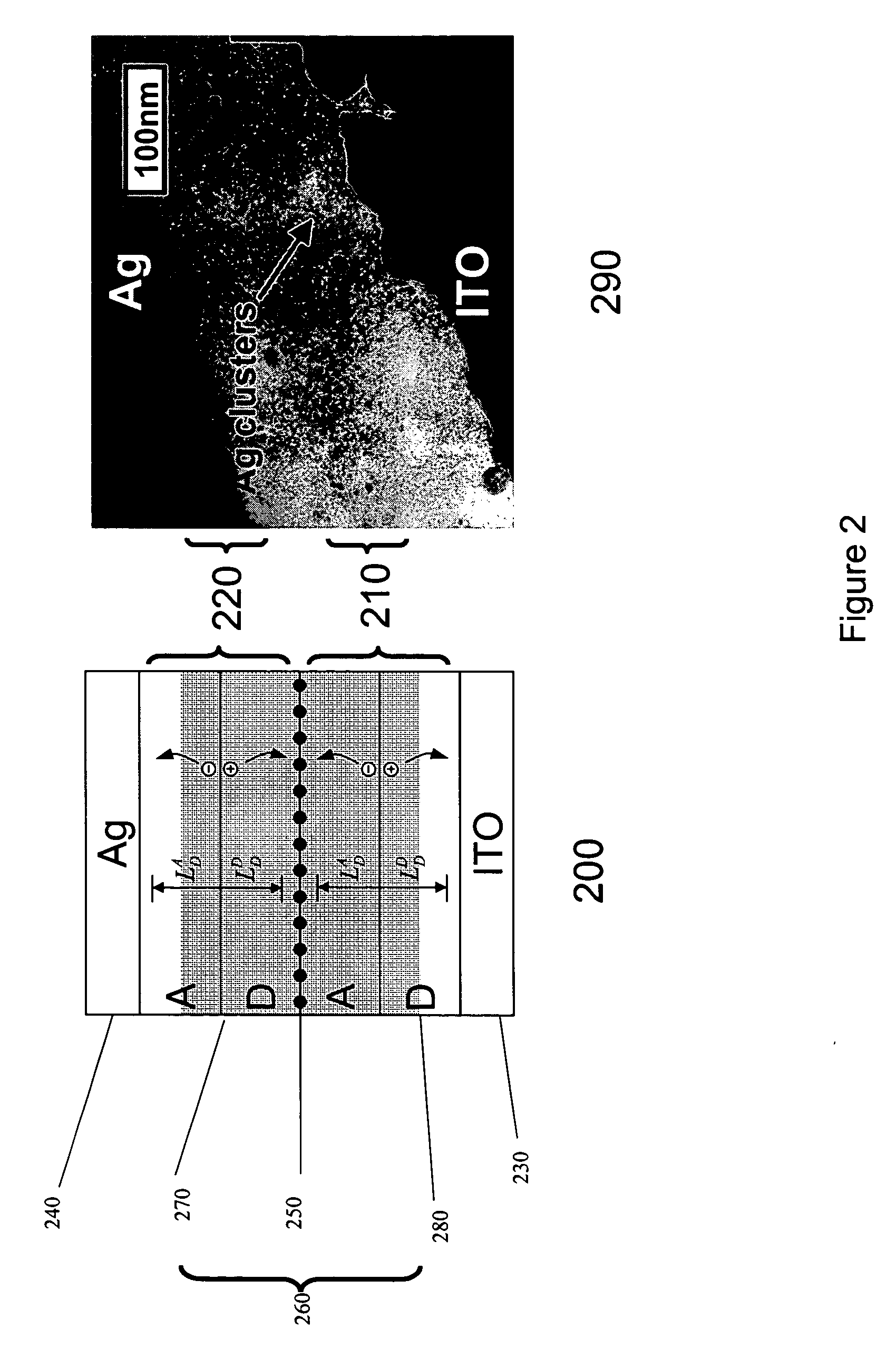 Organic photosensitive devices