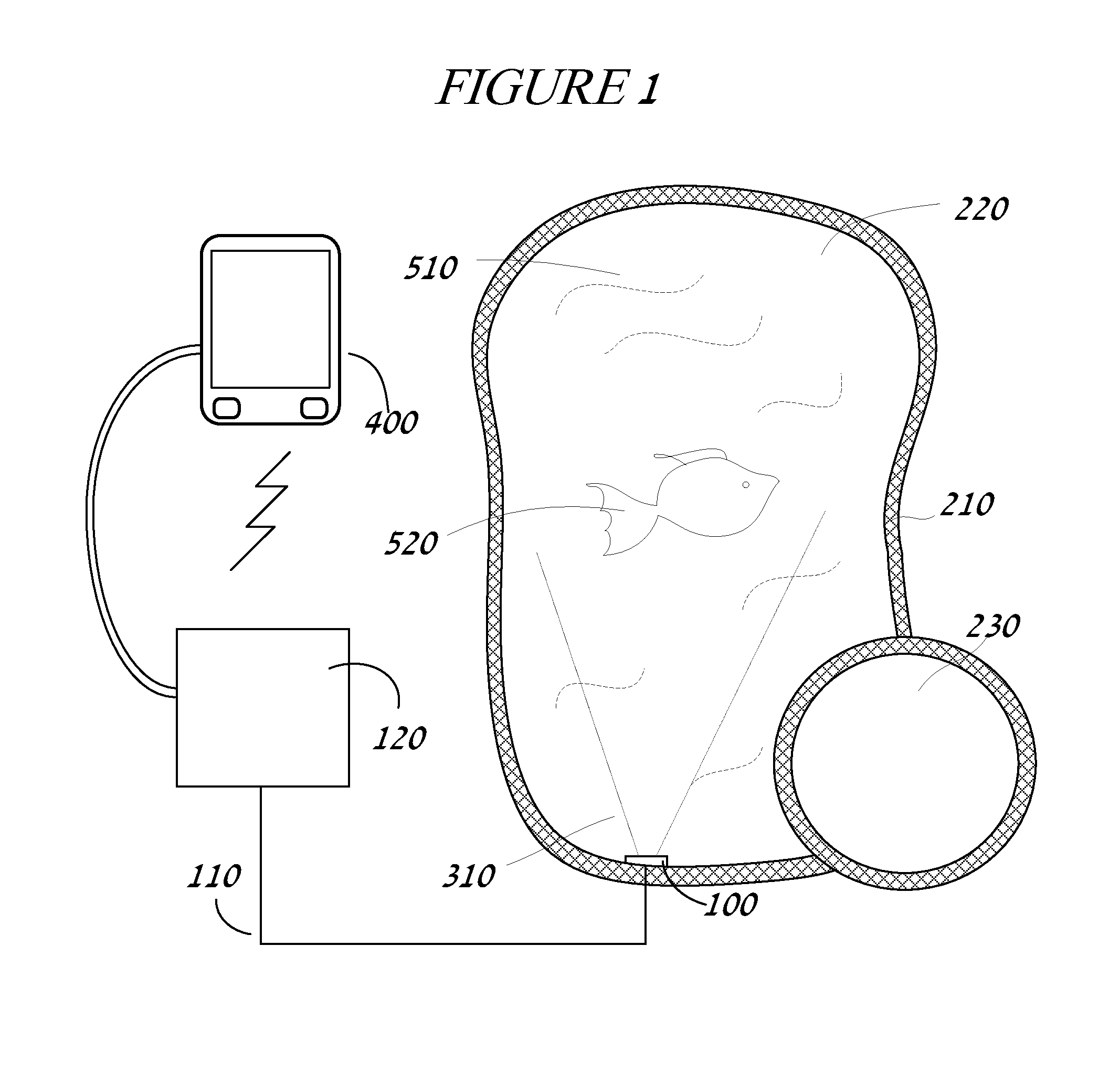 Underwater image projection controller with boundary setting and image correction modules and interface and method of using same