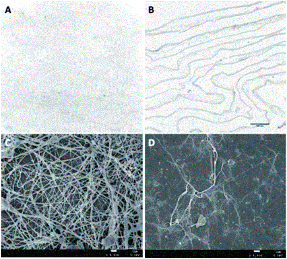 A kind of amniotic membrane biological preparation and preparation method thereof