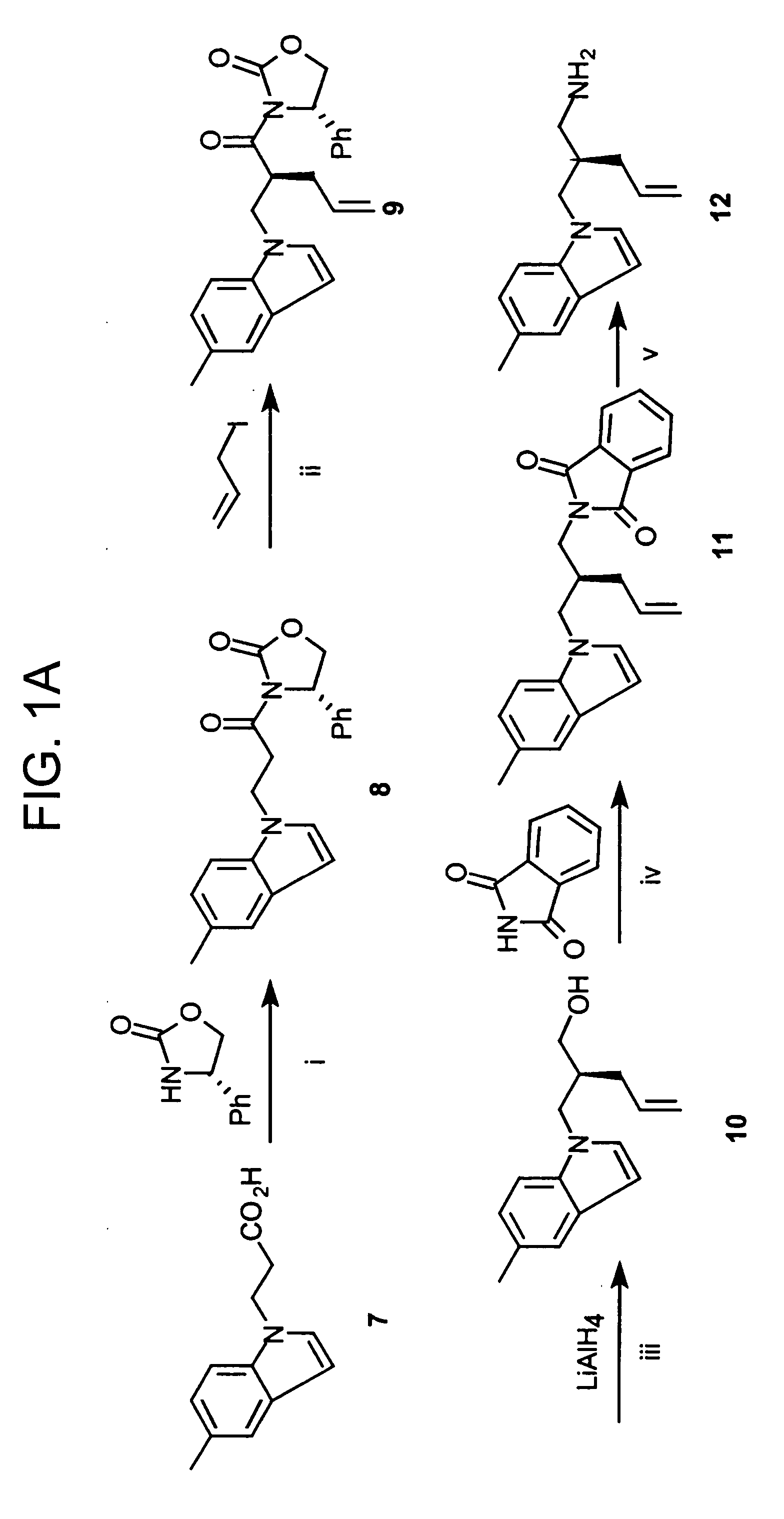 SH2 domain binding inhibitors