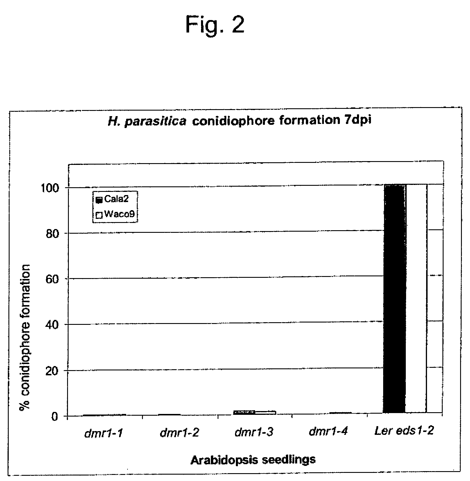 Disease resistant plants