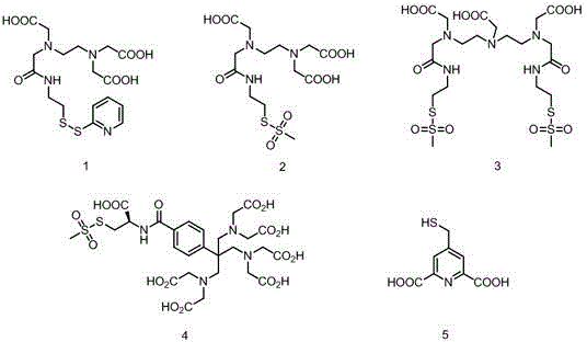 Design ad synthesis method for DTPA (Diethylene Triamine Pentacetic Acid) analogue for paramagnetic labeling of proteins