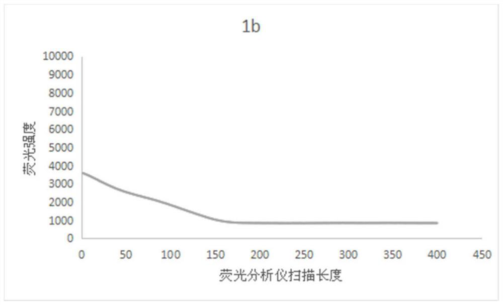 Test strip based on release of labeled antibody on chromatographic membrane and preparation method